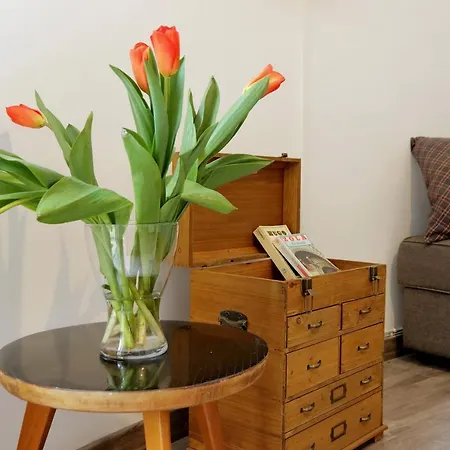 Scipioni Terrace Apartment *